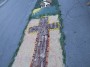 infiorata (64)